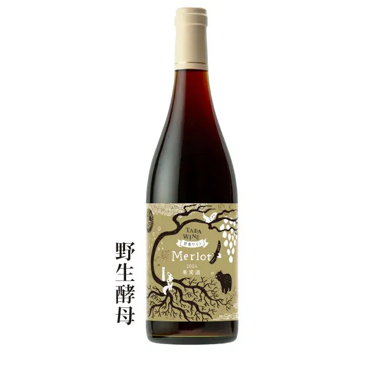 2024年度産メルロ野生酵母